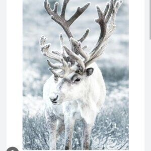 Meet your Posher, Hira